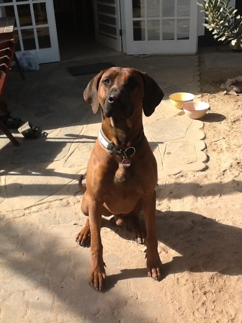 20120114-165701.jpg