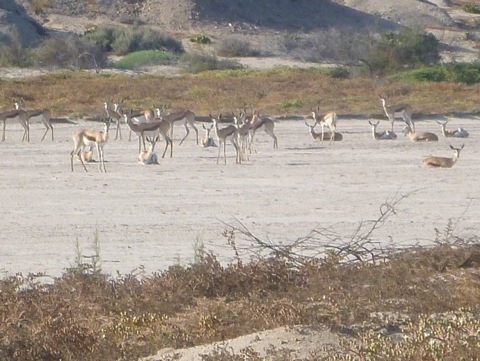 20120119-114644.jpg