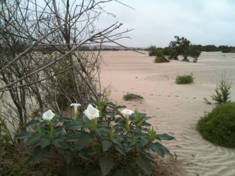 20120119-114922.jpg