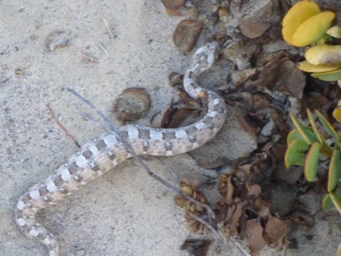 20120119-115955.jpg